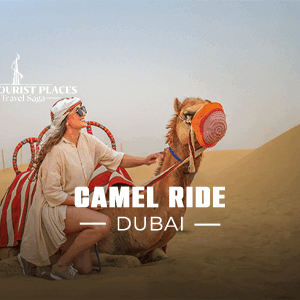 Book Camel Ride Dubai desert camel trekking experience