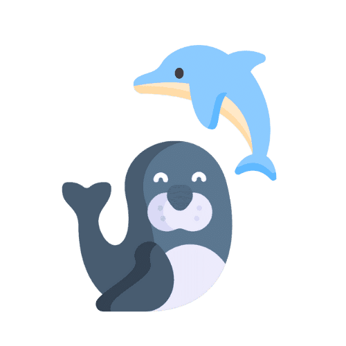 Dolphin and seal show