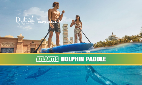 Atlantis Dolphin Paddle