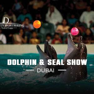 Dolphin and Seal Show Dubai | Dolphin Show Dubai Tickets