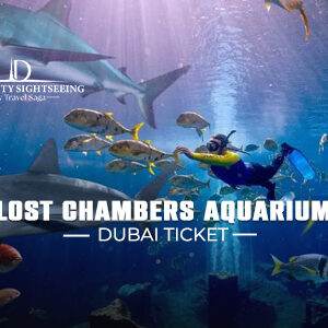 Book Atlantis Dubai Waterpark Tickets thrilling water slides view