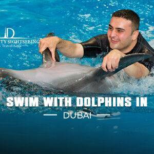 Book Swim with Dolphins In Dubai Tickets dolphin swim experience