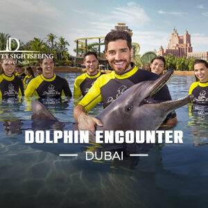 Book Dolphin Encounter Dubai Tickets online best price