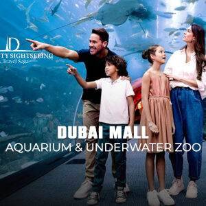 Dubai Mall Aquarium | Dubai Mall Aquarium Ticket Price