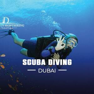 Book Scuba Diving Dubai Tickets underwater diving experience