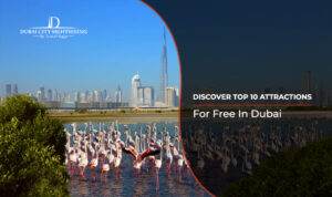 top free attractions in Dubai | Dubai mall attractions blog banner by Dubai city sightseeing