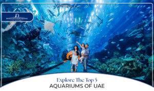 Dubai Aquarium| Best aquariums in UAE Blog Banner By Dubai City Sightseeing.