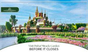 Dubai Miracle Garden | Miracle Garden Dubai tickets Blog Banner By Dubai City Sightseeing