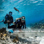 Beginner scuba diving experience in Dubai.