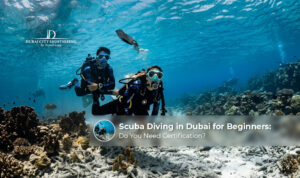 Beginner scuba diving experience in Dubai.