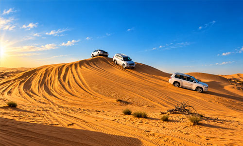 Desert Experiences