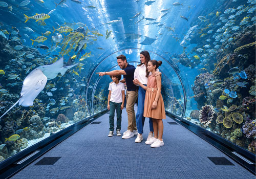 Dubai Aquarium & Underwater Zoo Tickets