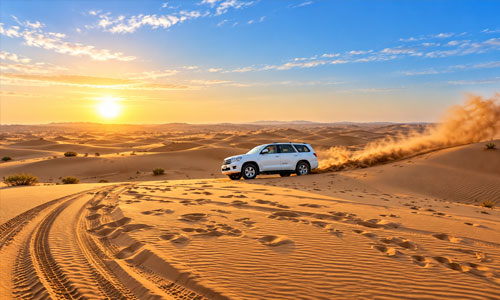 Desert Experiences